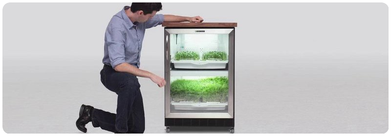 Urban Cultivator Residential Human